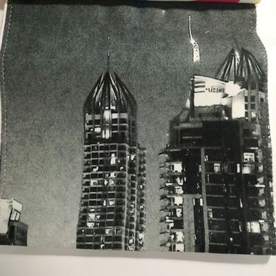 Римские шторы с рисунком