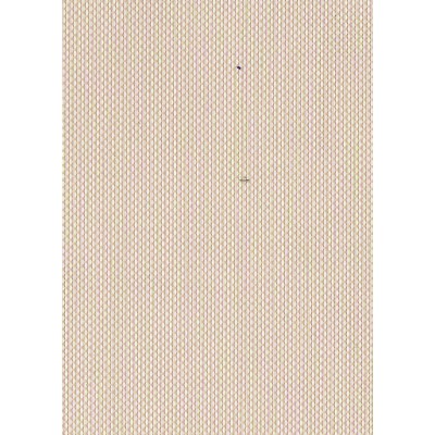 Тканевые ролеты Скрин цвет бежевый