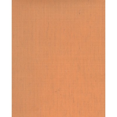 Тканевые ролеты Джайпур 2 цвет розовый