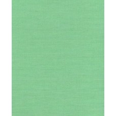 Ролеты тканевые Ара цвет зеленый 1001