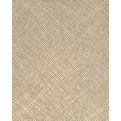 Тканевые ролеты МакКонор цвет бежевый