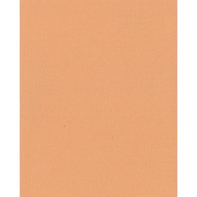 Японские жалюзи ткань Ара цвет персиковый 1051 Японские жалюзи ткань Ара цвет персиковый 1051